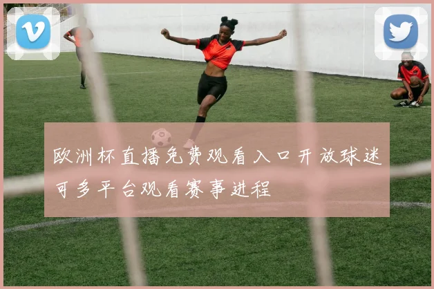 欧洲杯直播免费观看入口开放球迷可多平台观看赛事进程