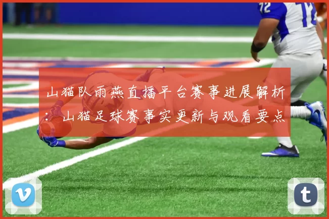 山猫队雨燕直播平台赛事进展解析：山猫足球赛事实更新与观看要点