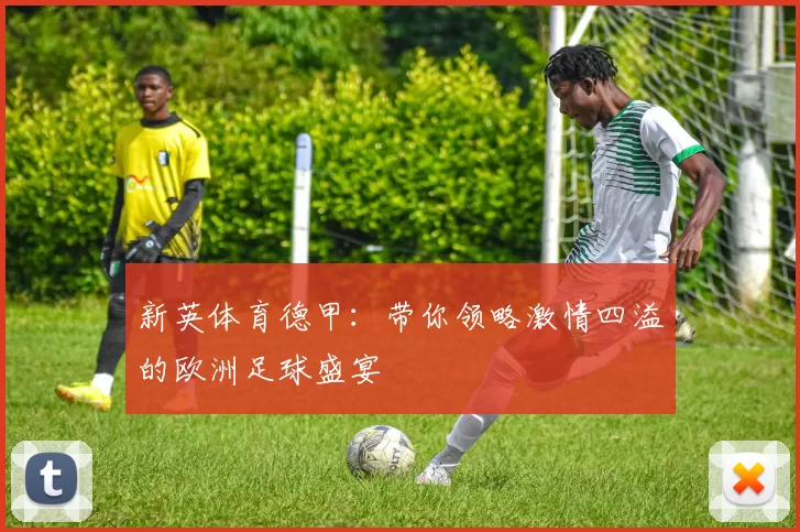 新英体育德甲：带你领略激情四溢的欧洲足球盛宴