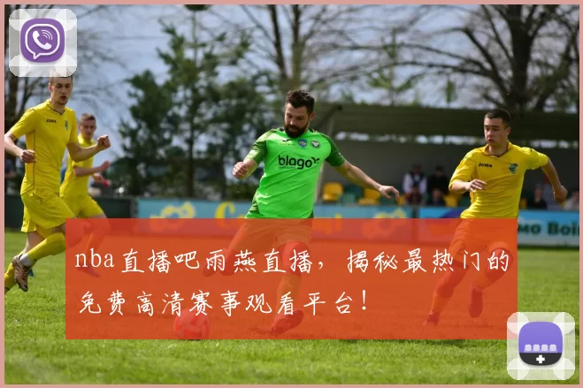 nba直播吧雨燕直播，揭秘最热门的免费高清赛事观看平台！