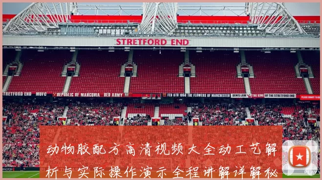 动物胶配方高清视频大全动工艺解析与实际操作演示全程讲解详解秘