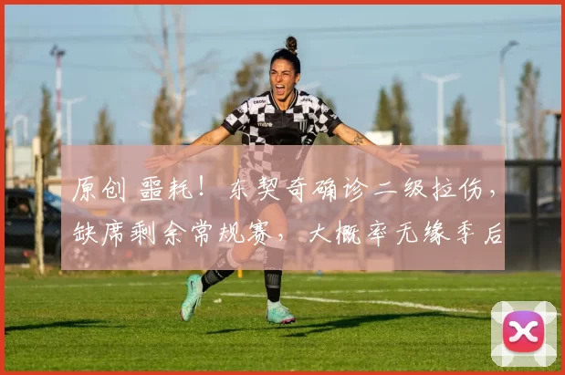 原创 噩耗！东契奇确诊二级拉伤，缺席剩余常规赛，大概率无缘季后赛首轮