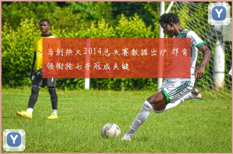 马刺热火2014总决赛数据出炉 邓肯领衔抢七夺冠成关键